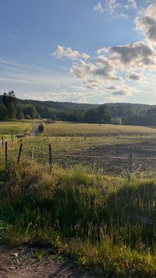 Lantlig pärla med bastu, spabad och naturnära läge - Bild 16