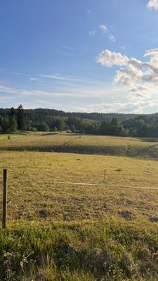 Lantlig pärla med bastu, spabad och naturnära läge - Bild 19