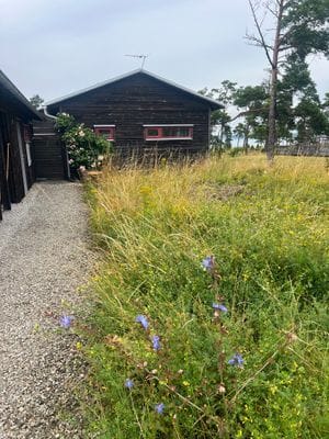 Havsnära arkitektritad villa - Bild 29