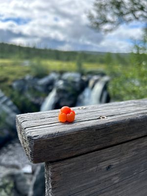Boende i Björnrike med 3 sovrum - Bild 12
