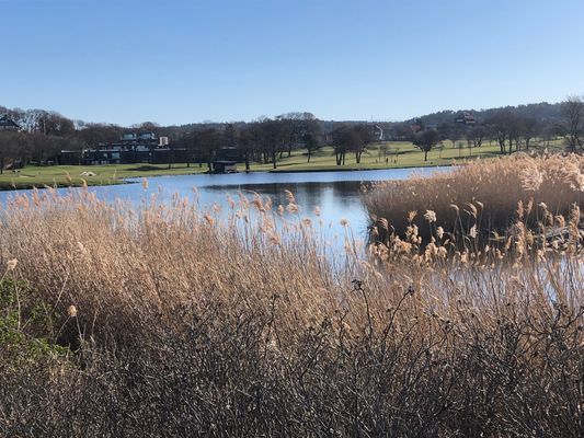 Nära hav, natur, golf, tennis och city! - Bild 36