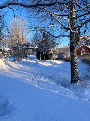 Lantlig pärla med bastu, spabad och naturnära läge - Bild 44