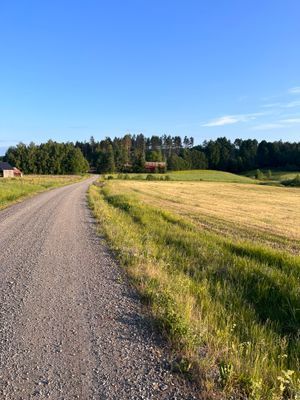 Lantlig pärla med bastu, spabad och naturnära läge - Bild 38