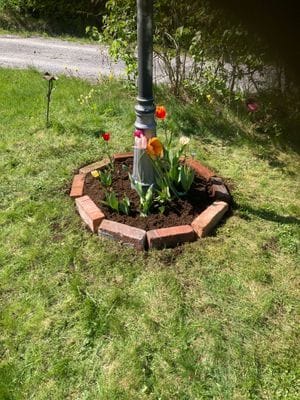 Hyr denna stuga i Härnösand på 115 m². 6 sängplatser. 9 000 - 11 000 kr per vecka. Se bilder och tillgänglighet här.