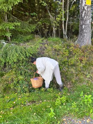 Lantlig pärla med bastu, spabad och naturnära läge - Bild 48
