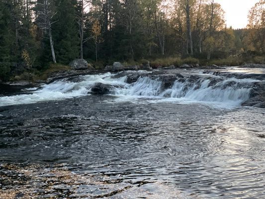 Fjällstuga Grövelsjön Storsätern 4 bäddar - Bild 6