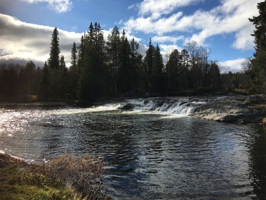 Fjällstuga Grövelsjön Storsätern 4 bäddar - Bild 8