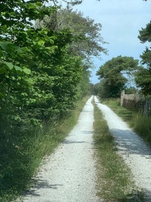 Strandnära stuga med havsutsikt - Bild 33