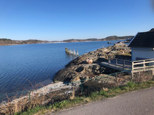 Nära hav, natur, golf, tennis och city! - Bild 37