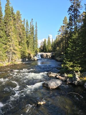 Fjällstuga Grövelsjön Storsätern 4 bäddar - Bild 7