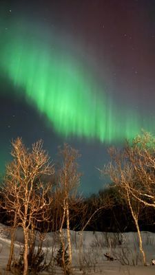 Stuga i Tänndalen - magisk utsikt - Bild 19