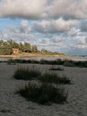Röd stuga nära hav och skog - Bild 21