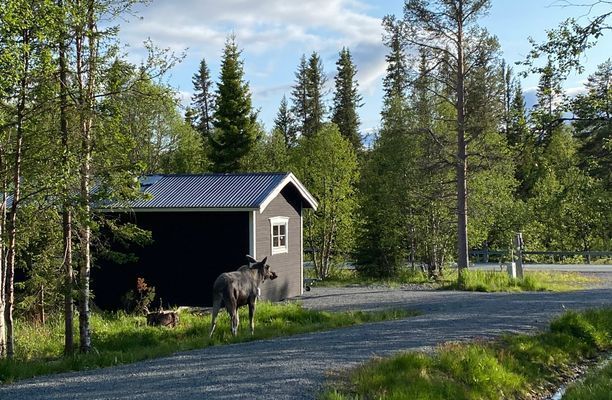 Hyr denna stuga i Grövelsjön på 28 m². 2-4 sängplatser. 3 500 - 5 500 kr per vecka. Se bilder och tillgänglighet här.