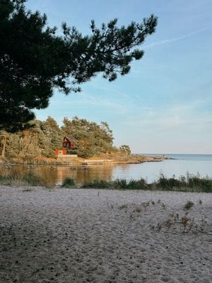 Röd stuga nära hav och skog - Bild 20