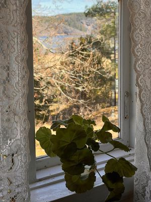 Lantligt sommartorp med utsikt över två vikar - Bild 15