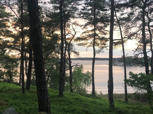 Uthyres norra stavsudda - Bild 15