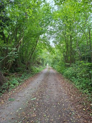 Härligt gammalt hus på landsbygd - Bild 13