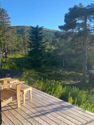 Näsfjället, Sälenfjällen - Bild 11