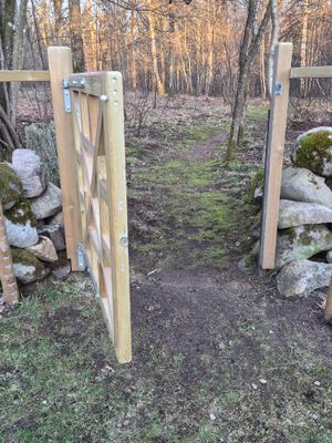 Fina promenadstråk i skogen