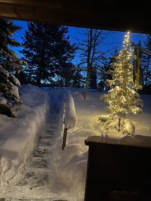 Gången upp till vägen på vintern