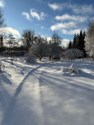 Hyr denna stuga i Bellö på 29 m². 2-4 sängplatser. Från 6 309 kr per vecka. Se bilder och tillgänglighet här.