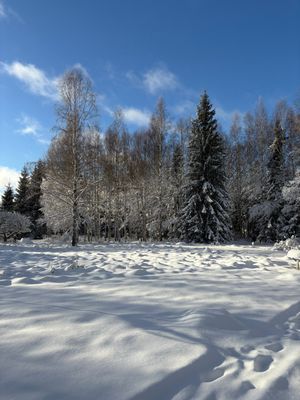 Bild 4 på Timrad stuga nära sjö och bad