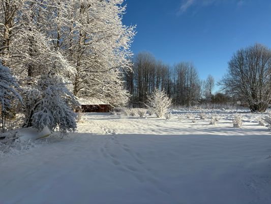 Bild 3 på Timrad stuga nära sjö och bad