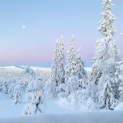 Liftnära timmerstuga m panoramautsikt över fjällen