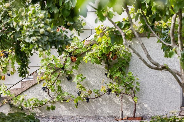 Stort hus på Styrsö - Bild 16