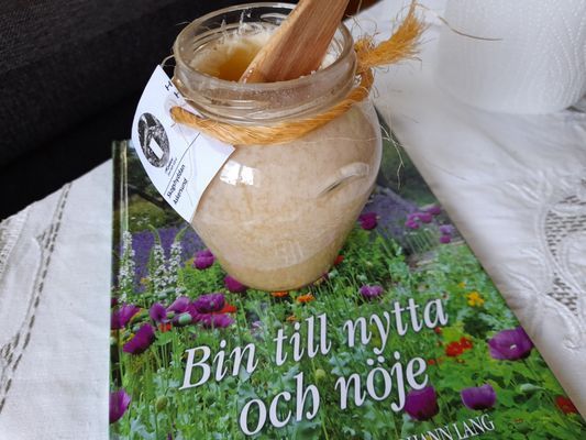 Stuga med härligt läge omgärdad av skog nära badsj - Bild 24