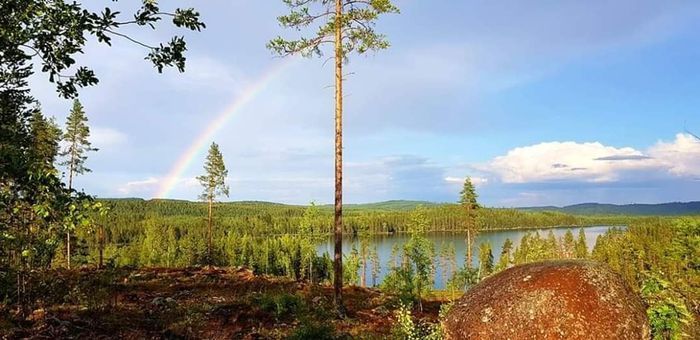 Hamra Stugby- Stuga Nr. 11 - Bild 24