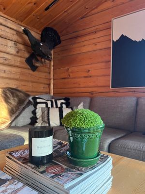 Stuga på gränsen till kalfjället - Bild 28