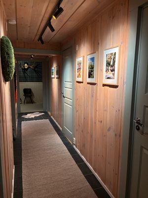 Stuga på gränsen till kalfjället - Bild 15