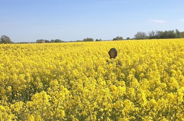 GRÖNA KRUSBÄRSSTÄLLET - Nytt bekvämt hus med charm - Bild 24