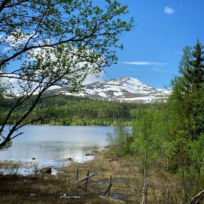 Inspo - Sommar