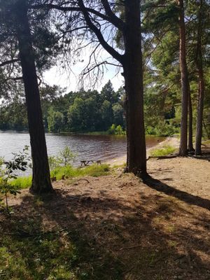 Charmig sommaridyll - Bild 16