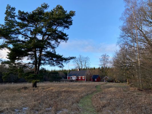 Mysig stuga i NV Skåne - Bild 18