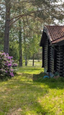 Mysig stuga vid sjö - Bild 21