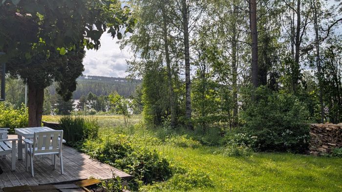Mysig stuga vid sjö - Bild 18