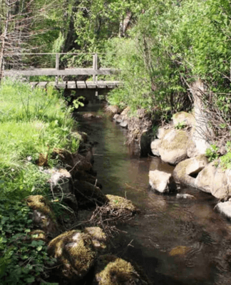 Österlen: 8 bäddar, uppvärmd pool, bastu, stränder - Bild 42