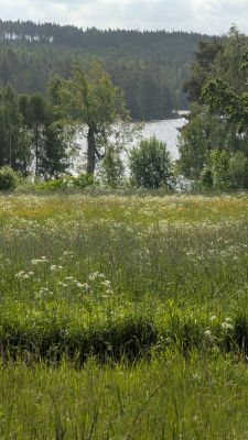 Mysig stuga vid sjö - Bild 27
