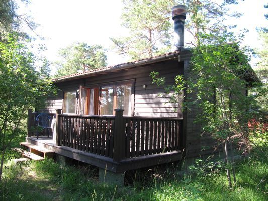 Stuga i tallskog mitt på Gotland