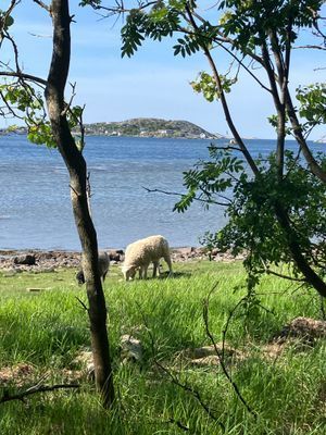 Mysigt skärgårdshus nära Göteborg - Bild 18