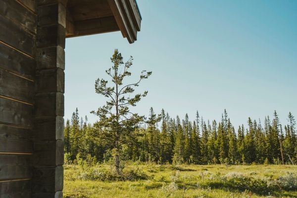 Modern semesterstuga i Trillevallen/Åre | SE21005 - Bild 27