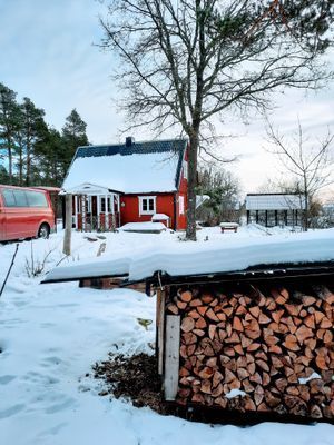 vinter