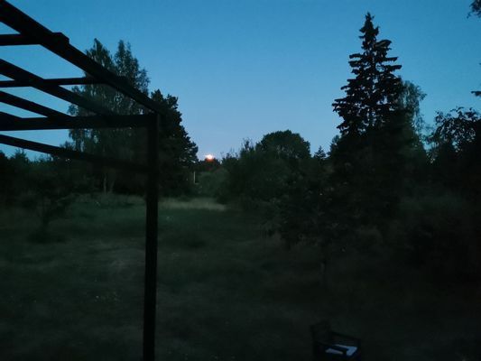 Mysig stuga på Rådmansö - Bild 20