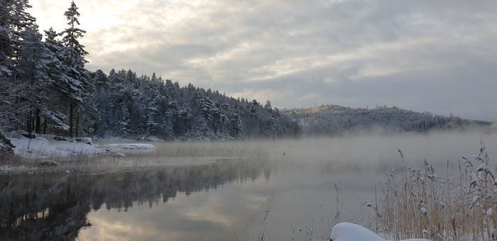 Stuga med bastu precis vid sjön - Bild 38