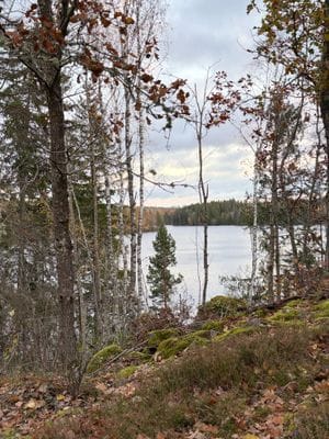 Stort hus med bastu, båt, brygga och sjöutsikt! - Bild 29