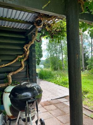 Mysig stuga vid sjö - Bild 36