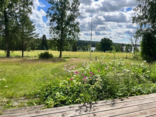 Mysig stuga vid sjö - Bild 38